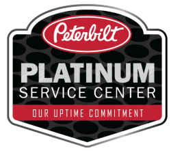 Platinum-Service-Center-250x221.png