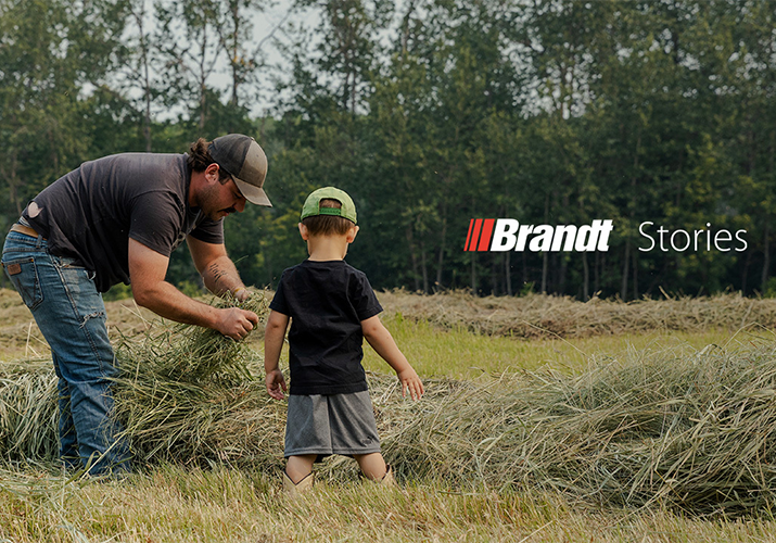 Hay-Forage-with-the-Reimers